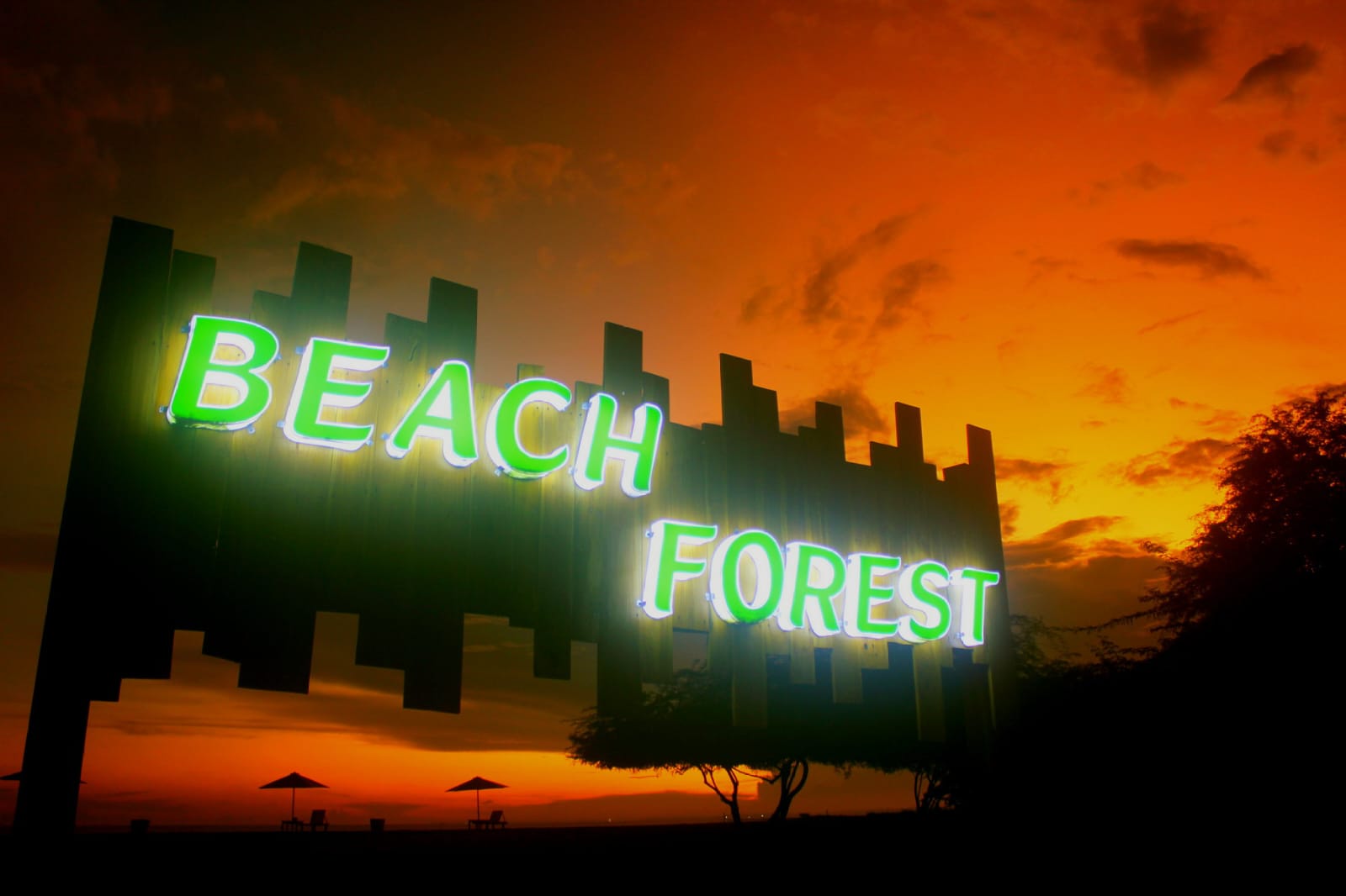 Beach Forest Camping