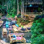 WONOSALAM COFFEE TRIP